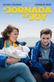 A Jornada de Joy