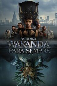 Pantera Negra 2 Wakanda para Sempre